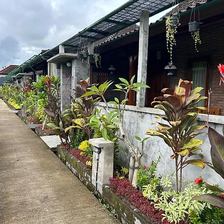 Ketut'S Place Penestanan Ubud Exterior photo