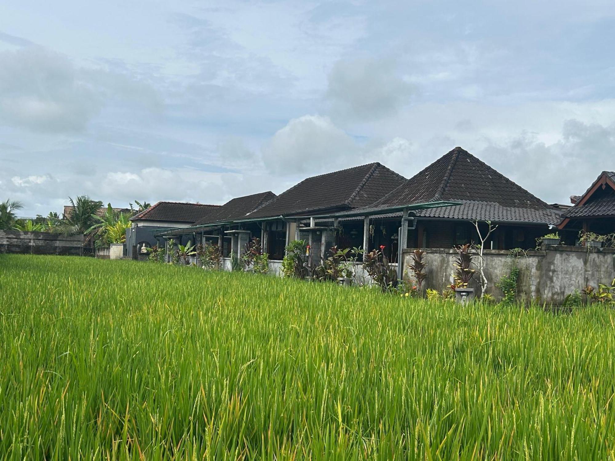 Ketut's Place Penestanan