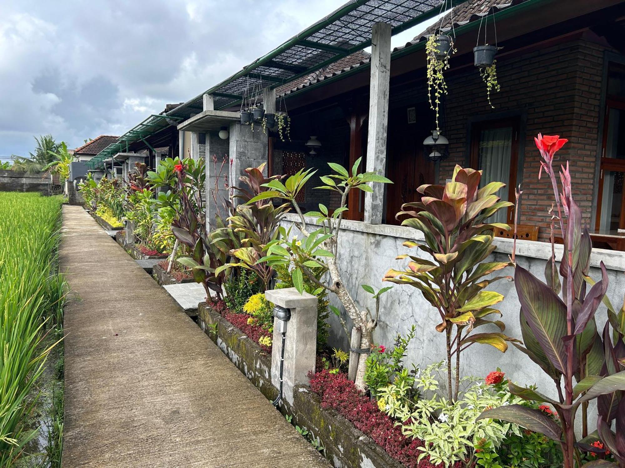 Apartment Ketut's Place Penestanan Ubud (Bali)