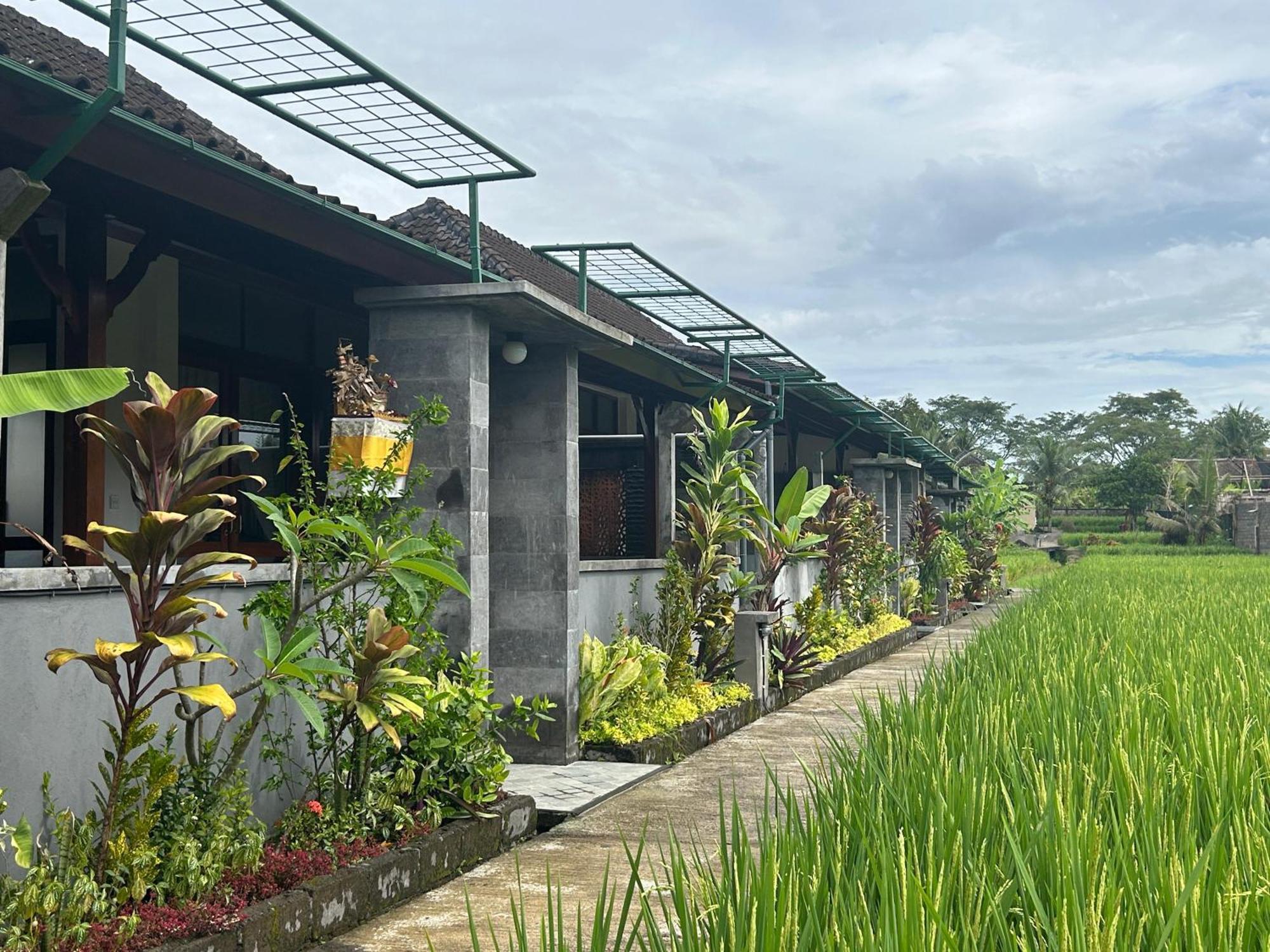 Ketut's Place Penestanan Apartment Ubud (Bali)