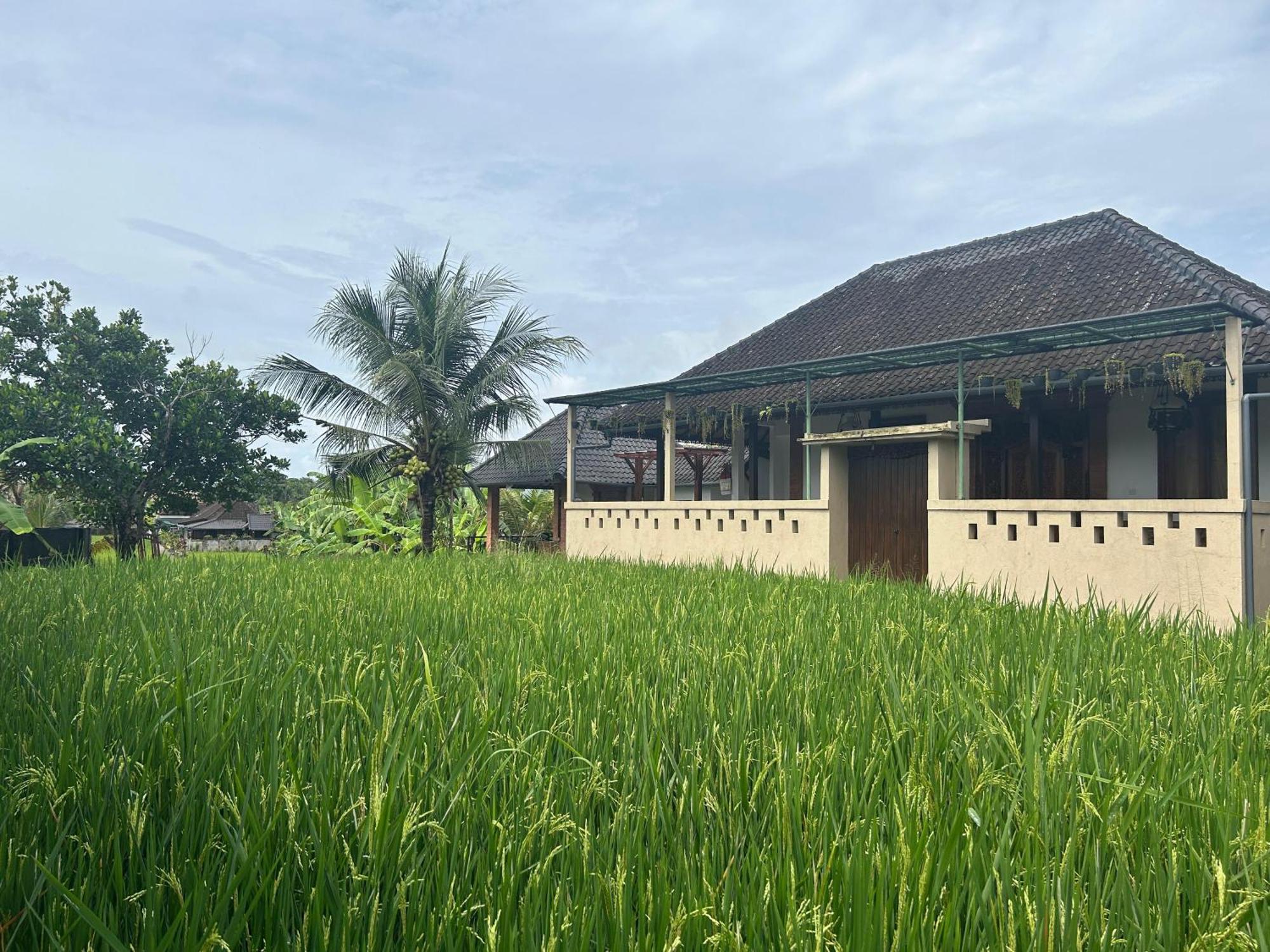 Ketut's Place Penestanan